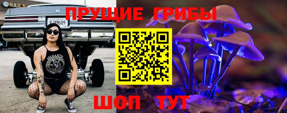 Галлюциногенные грибы Psilocybe Заволжье
